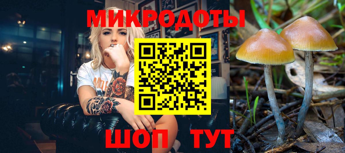 Галлюциногенные грибы MAGIC MUSHROOMS Спасск-Дальний