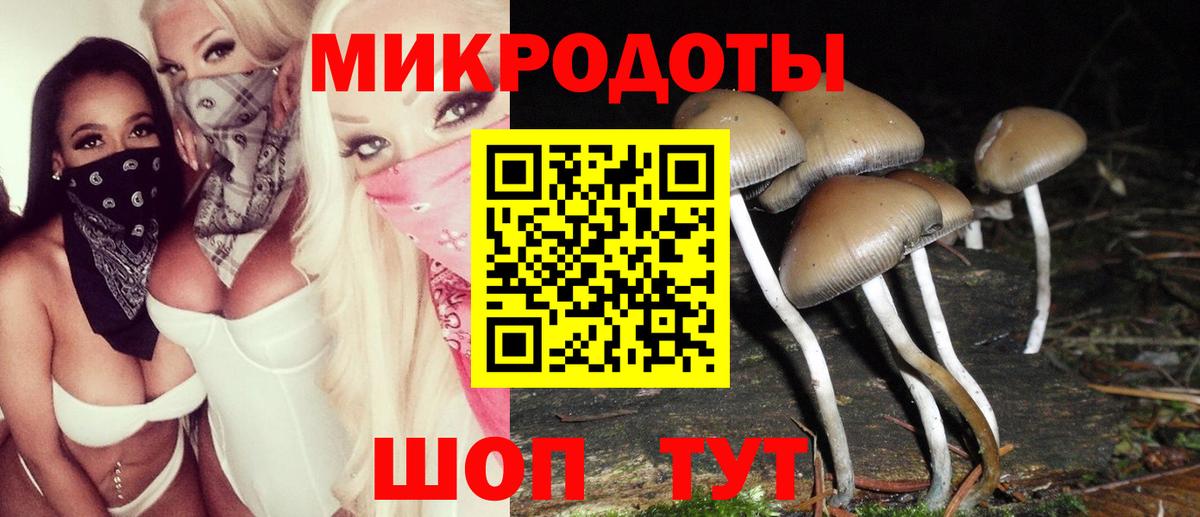 Галлюциногенные грибы мухоморы  Псилоцибиновые грибы MAGIC MUSHROOMS  Спасск-Дальний  Вход с VPN 